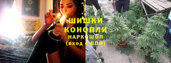 ГАЛЛЮЦИНОГЕННЫЕ ГРИБЫ Касимов