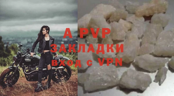 ГАЛЛЮЦИНОГЕННЫЕ ГРИБЫ Касимов