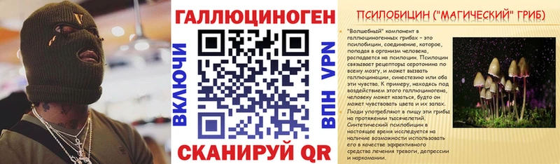 Купить где  Североуральск  Псилоцибиновые грибы Psilocybe 